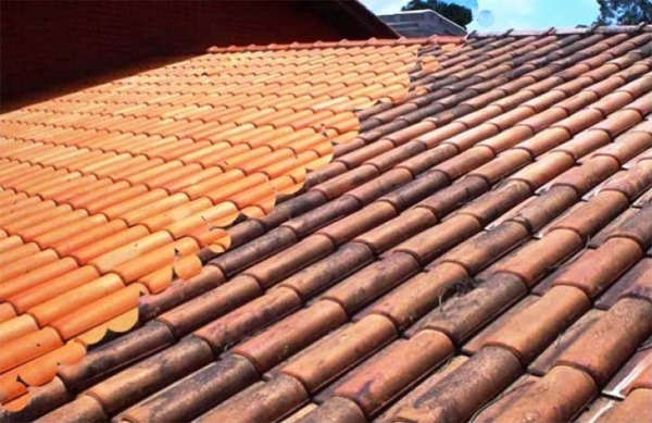 Limpeza de calhas e telhados